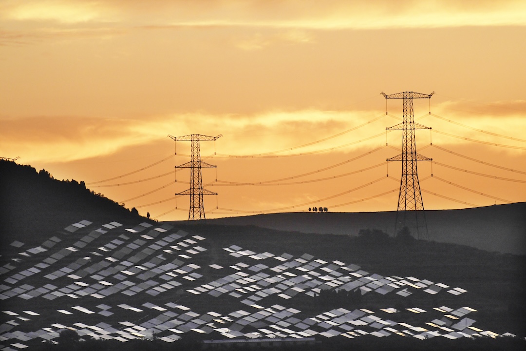 A solar power station in Zaozhuang, East China’s Shandong province, on Aug. 24. Photo: VCG