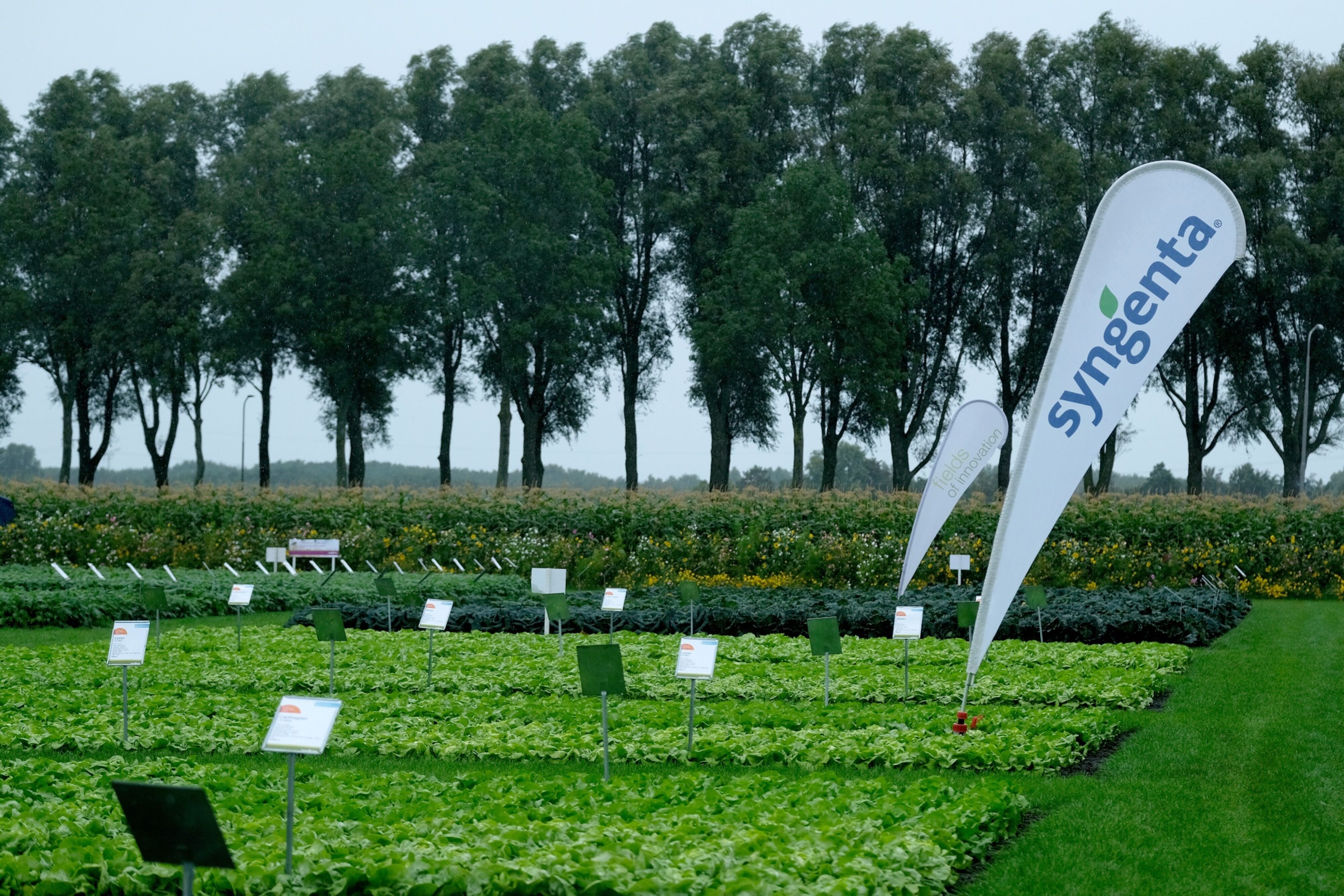 Syngenta first filed for an IPO in 2021, but its listing has been snagged by various issues, most recently delayed in November due to market volatility. Photo: Bloomberg